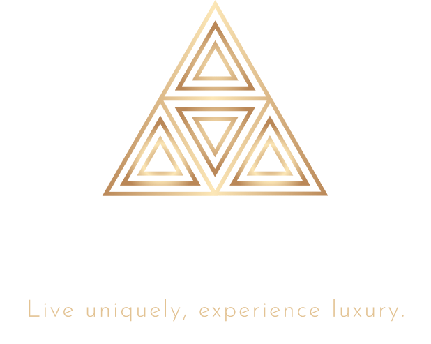 Anderson Luxury Ventures